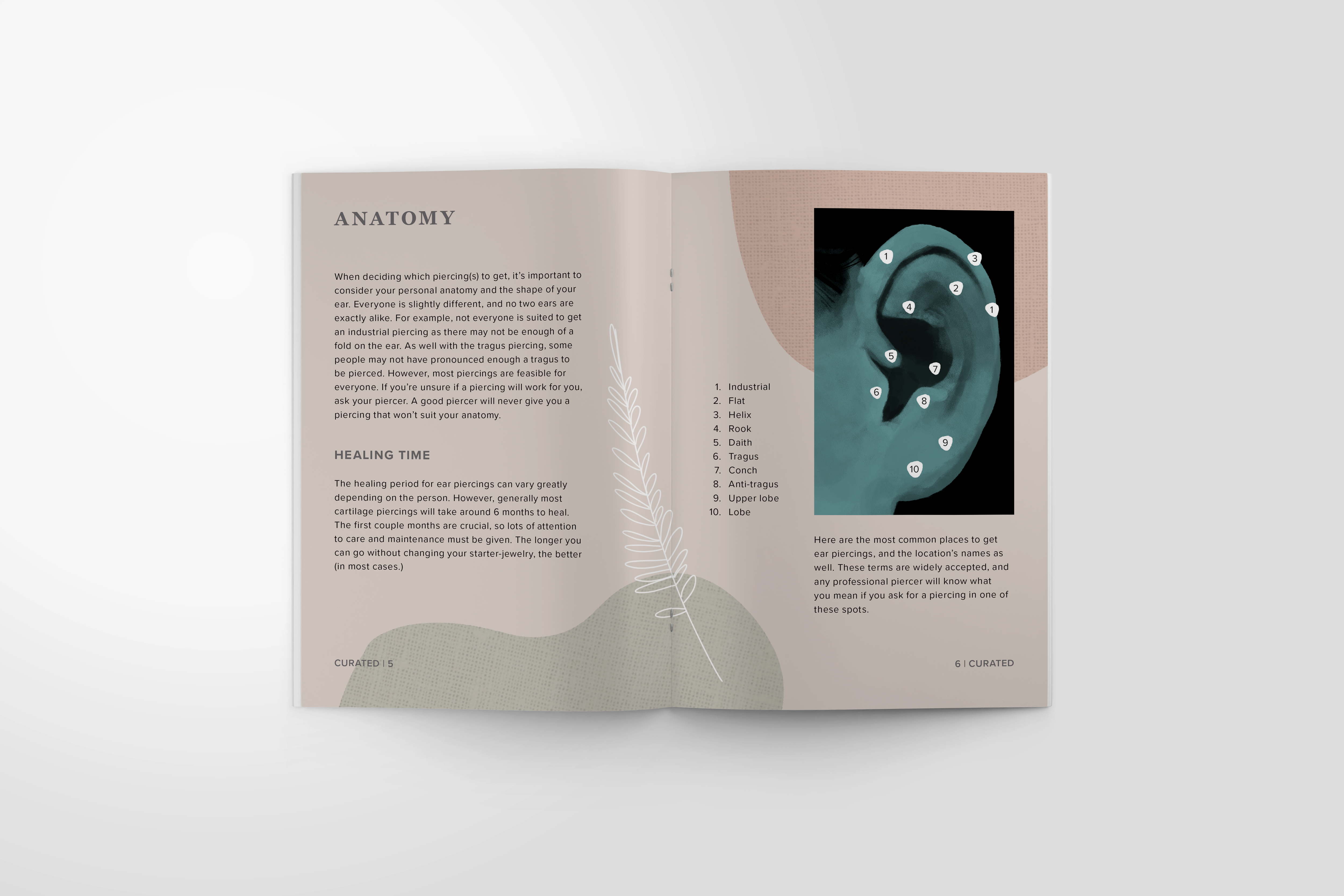 zinethree